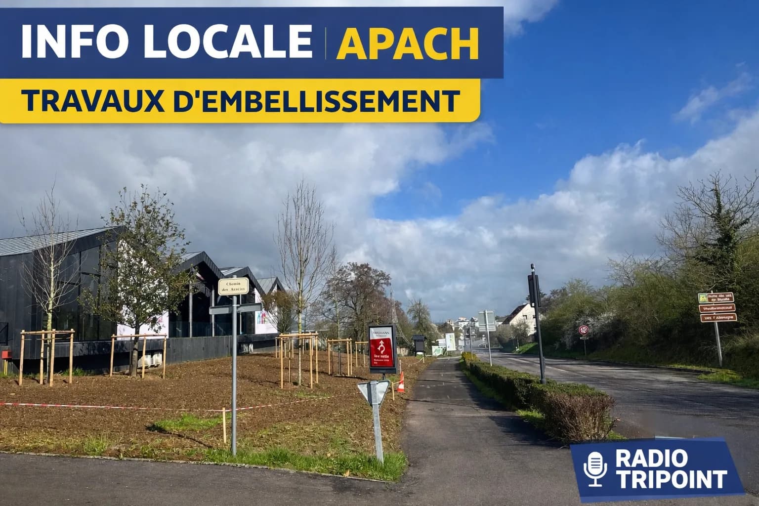 Visuel « Info locale Apach : travaux d'embellissement » : un terrain fraîchement aménagé avec de jeunes arbres, au bord d'une route.